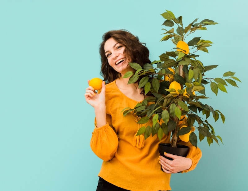 what-vitamins-are-given-to-flowers.jpg